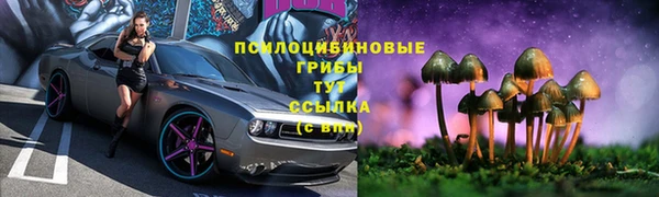 спайс Белокуриха
