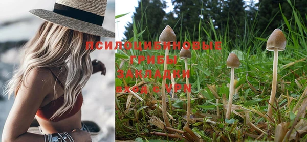спайс Белокуриха