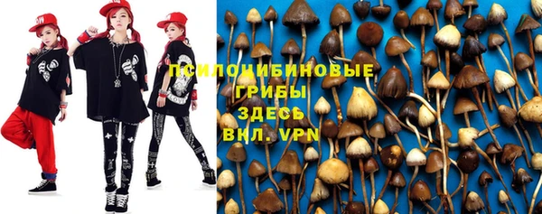 спайс Белокуриха